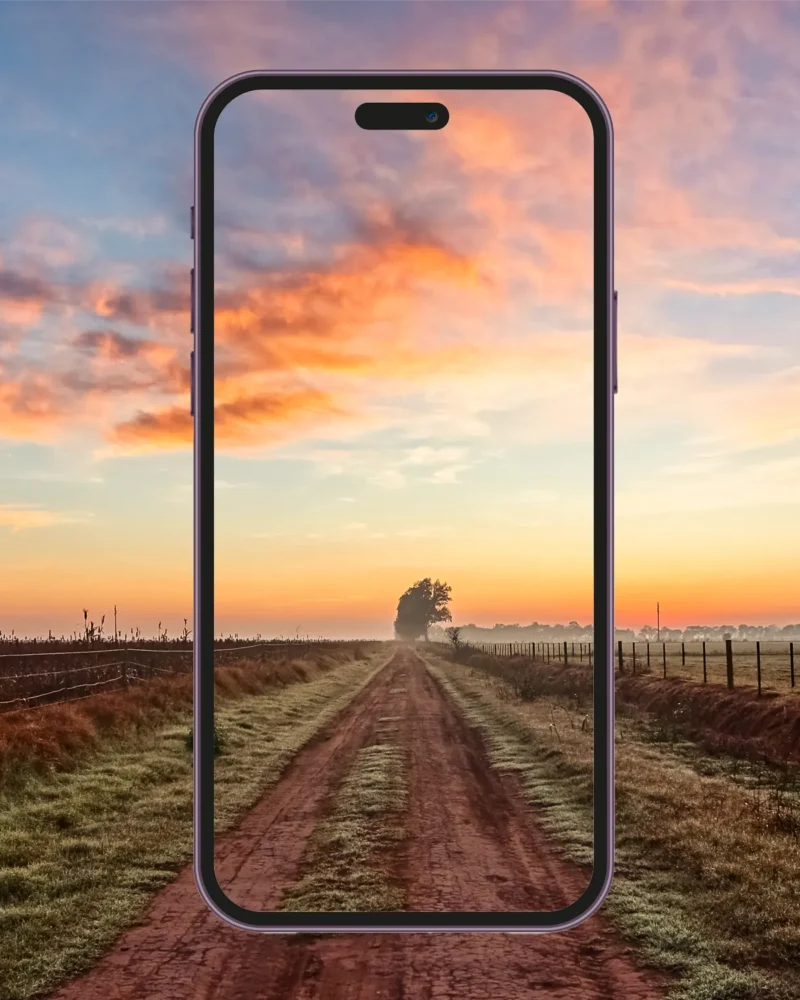 Way To Dawn - Argentina - portrait