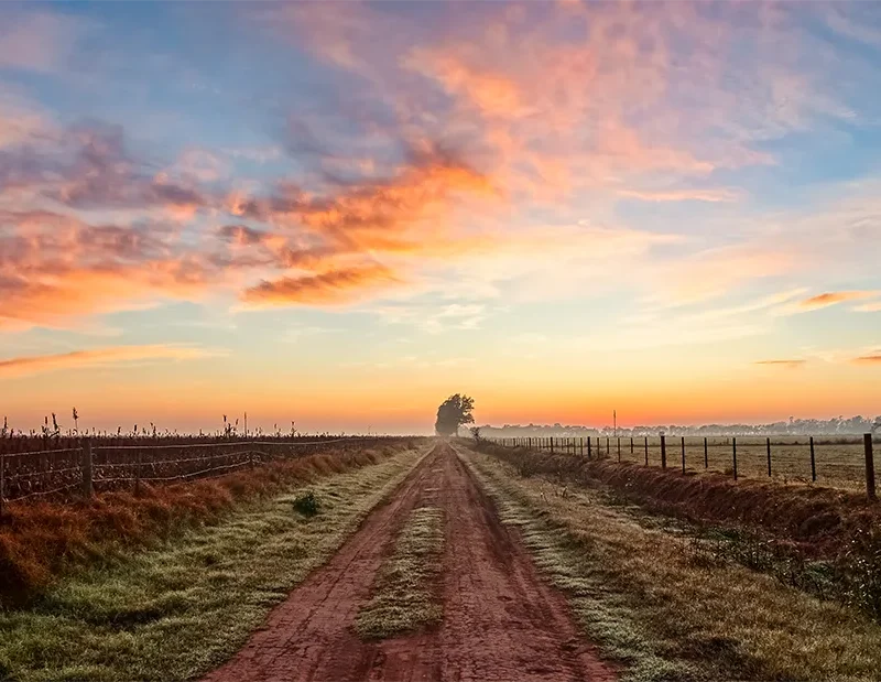 camino al amanecer